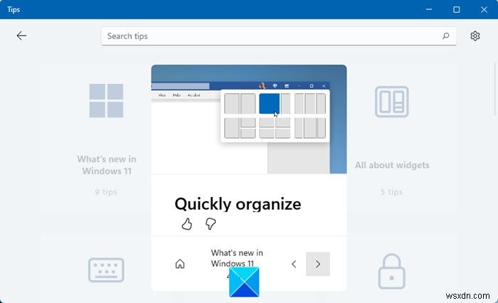 Cách sử dụng ứng dụng Tips mới để khám phá Windows 11