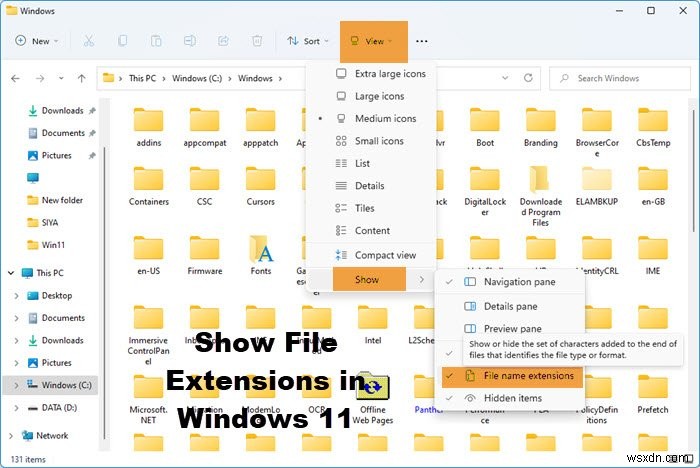 Cách hiển thị phần mở rộng tệp trong Windows 11/10