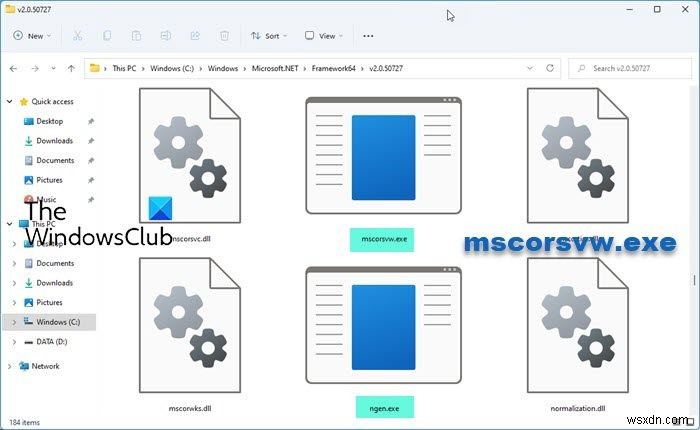 mscorsvw.exe là gì trong Windows 11/10?