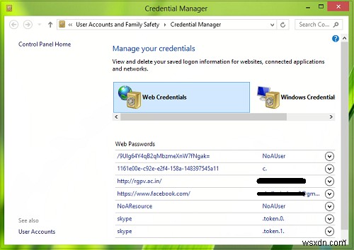 Credential Manager không hoạt động đúng trong Windows 11/10