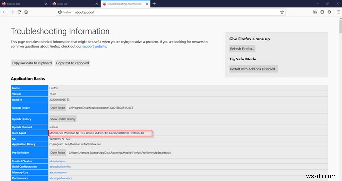 Firefox Default Browser Agent là gì trong Windows 11/10?