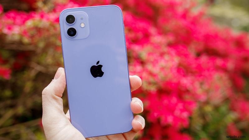 Cách xác định mẫu iPhone bạn đang sở hữu