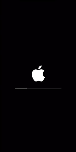 Cách Khắc Phục Lỗi iPhone Tự Khởi Động Lại Liên Tục Trên iOS 15, 14