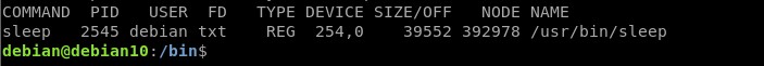 Cách dùng lệnh lsof trong Linux để liệt kê file đang mở