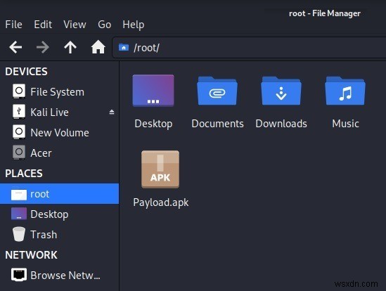 Cách Chạy Kiểm Thử Xâm Nhập Camera Điện Thoại Android Bằng Kali Linux