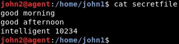 Cách Sử Dụng Danh Sách Kiểm Soát Truy Cập (ACL) Để Quản Lý Quyền File Trên Linux