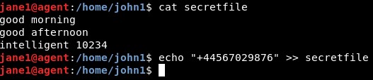 Cách Sử Dụng Danh Sách Kiểm Soát Truy Cập (ACL) Để Quản Lý Quyền File Trên Linux