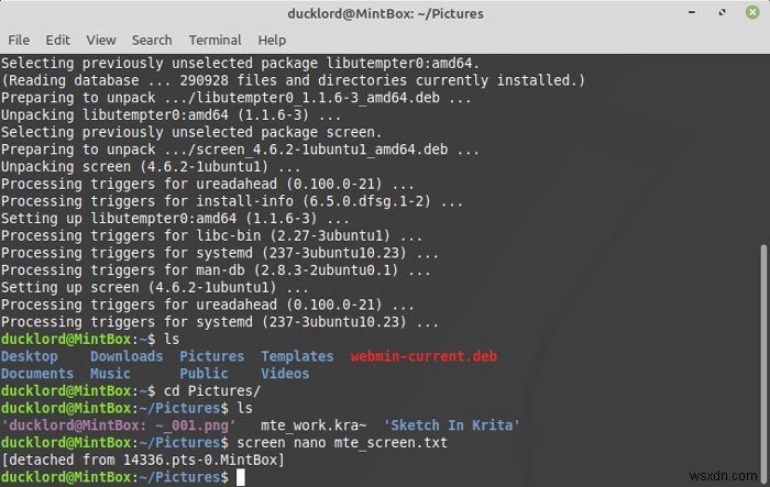 Cách Đa Nhiệm Trong Terminal Linux Với Screen