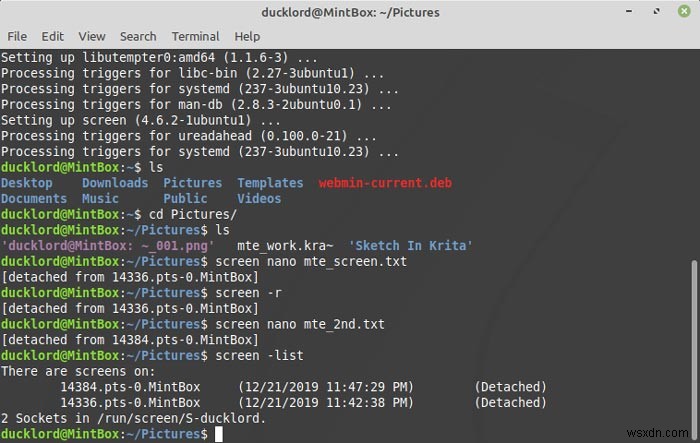 Cách Đa Nhiệm Trong Terminal Linux Với Screen