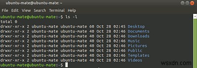 6 lệnh Linux hữu ích nhất cho người mới bắt đầu