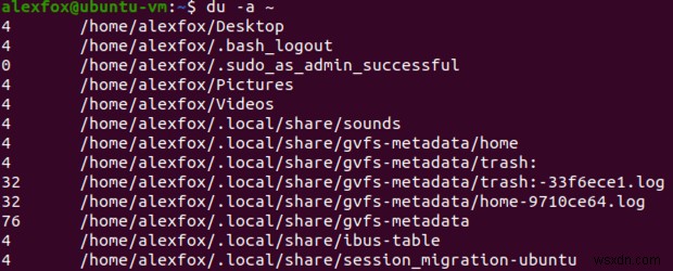 Các Lệnh du (Disk Usage) Hữu Ích Nhất Trong Linux