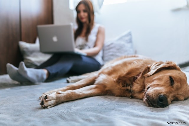 12 Trang Tìm Việc Làm Từ Xa Tốt Nhất