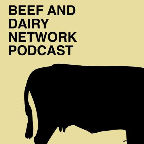 5 podcast hài hước hay nhất để thư giãn tâm trí
