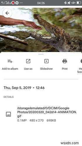 Tab  For You  của Google Photos: Tổ chức thông minh ảnh và video