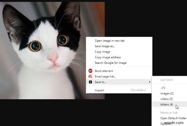 Dùng Save In Để Tải File Vào Nhiều Thư Mục Trên Trình Duyệt