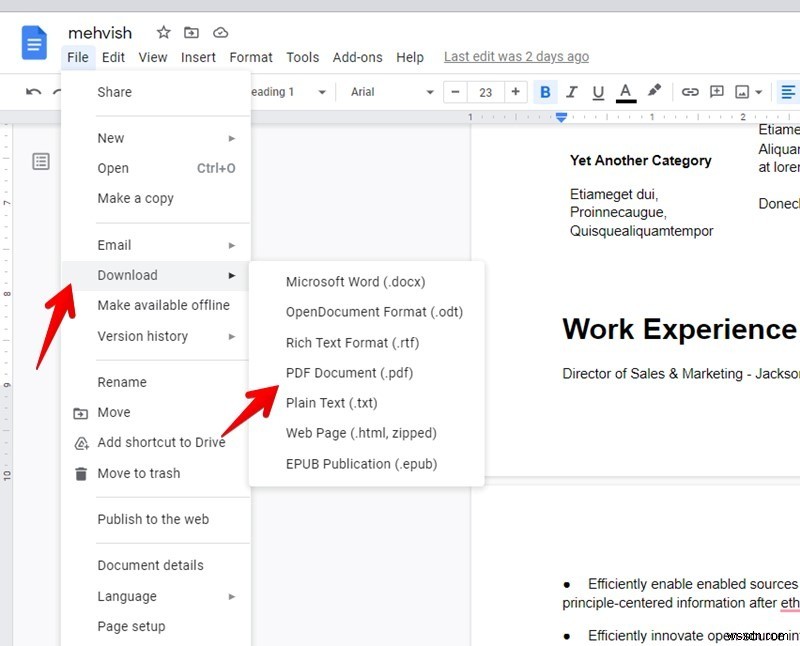 11 Mẫu CV Google Docs Bạn Nên Tham Khảo