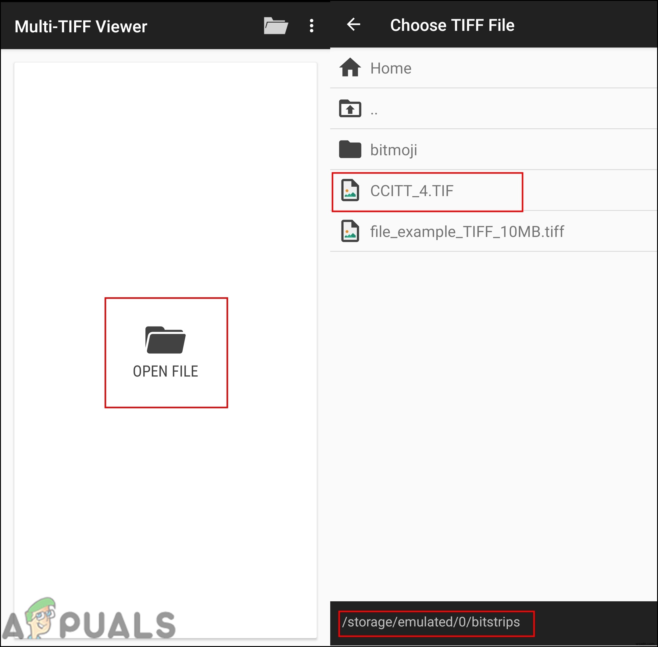 File TIF/TIFF là gì và cách mở file này?