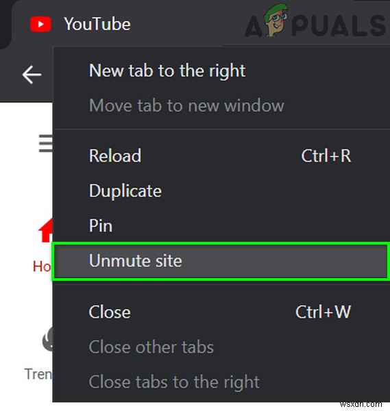 Khắc phục: Âm thanh Google Chrome không hoạt động