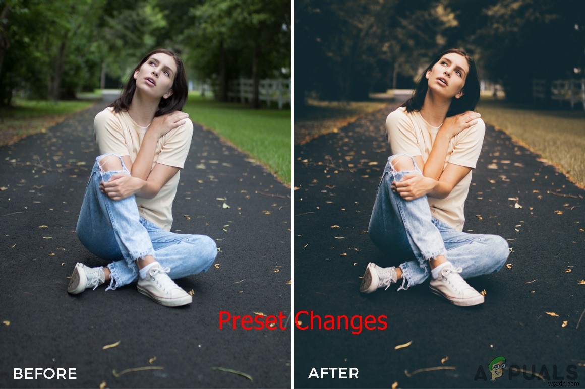 Cách cài đặt Preset trong Lightroom