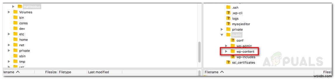 Khắc phục lỗi kết nối cơ sở dữ liệu WordPress Error establishing a database connection
