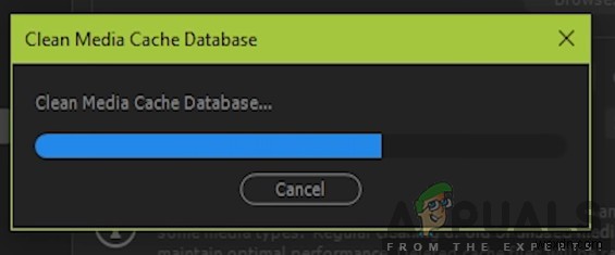 Cách khắc phục lỗi Adobe Premiere Pro bị treo/tự tắt