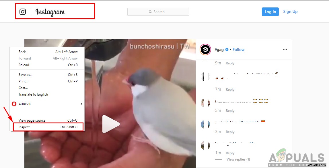 Cách tải video Instagram trên máy tính PC?