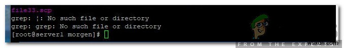 Cách khắc phục lỗi No such File or Directory trong SCP