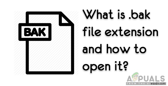 File extension  .bak  là gì và cách mở file .bak?