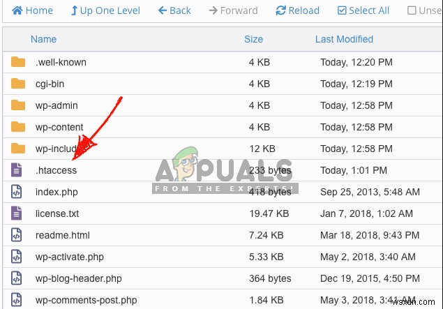 Sửa lỗi: WordPress HTTP Error khi tải lên Media