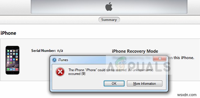 Sửa lỗi: iTunes Unknown Restore Error 9 (Lỗi khôi phục không xác định 9)