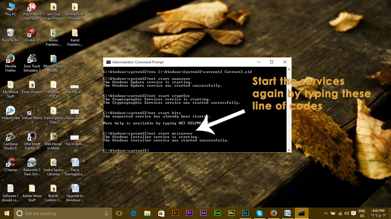 KHẮC PHỤC: Cập nhật Windows 10 bị kẹt ở 32%