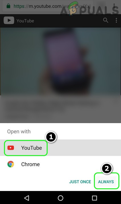 Khắc phục lỗi YouTube Something Went Wrong trên Android, PC, iOS và nhiều thiết bị khác