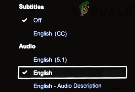 Khắc Phục Lỗi Âm Thanh/Hình Ảnh Ra Khỏi Đồng Bộ Trên Netflix (Tất Cả Nền Tảng)
