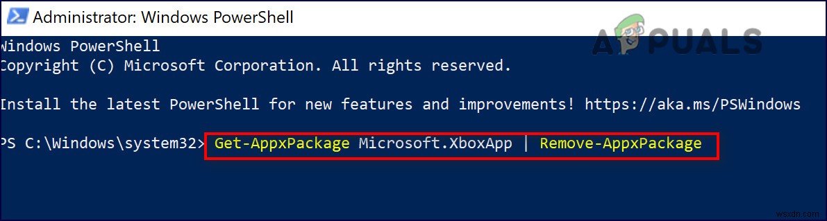 KHẮC PHỤC: Lỗi Microsoft Store 0x80242020 trên Windows