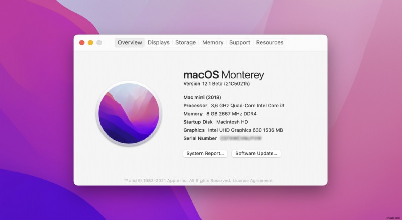Khôi phục tệp bị xóa sau khi cập nhật macOS Monterey: Hướng dẫn chi tiết