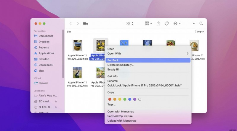 Khôi phục tệp bị xóa sau khi cập nhật macOS Monterey: Hướng dẫn chi tiết