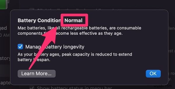 Cắm Sạc MacBook 24/7: Chuyên Gia Nói Gì Về Sức Khỏe Pin?