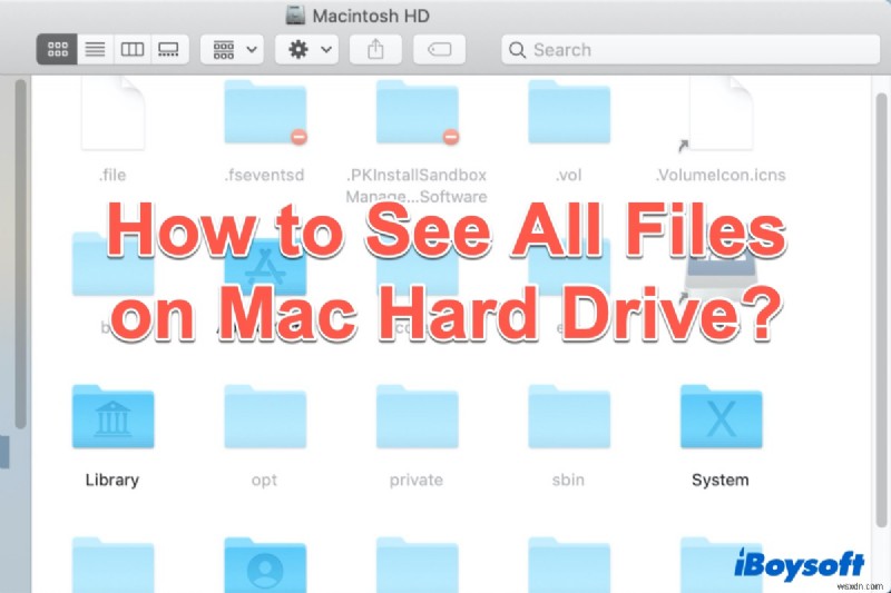 Khám phá mọi tệp trên ổ cứng Mac, bao gồm cả tệp ẩn