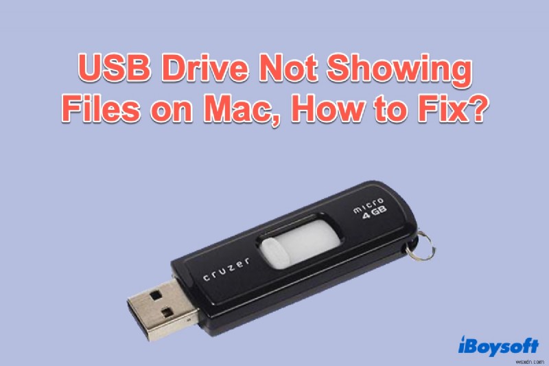 Khắc phục sự cố không thấy file trên USB Drive trên Mac