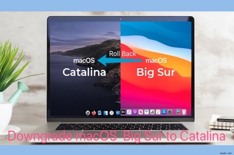 Hạ cấp macOS an toàn: Hướng dẫn từng bước từ Big Sur về Catalina hoặc Monterey về Big Sur