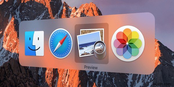 Cách Chỉnh Sửa PDF Trên Mac: Hướng Dẫn Gõ Text Chi Tiết Nhất