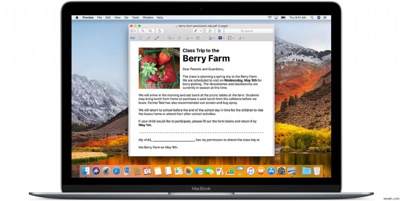 Bảo mật PDF trên Mac: Mẹo bảo vệ mật khẩu tích hợp sẵn dễ dàng
