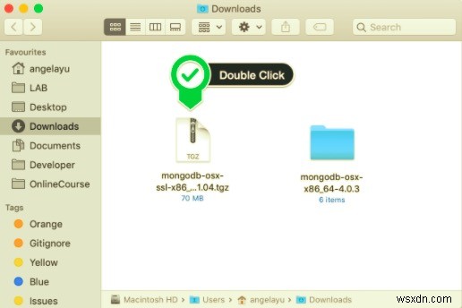 Cài Đặt MongoDB Trên macOS: Hướng Dẫn Nhanh Qua Homebrew Và Thủ Công