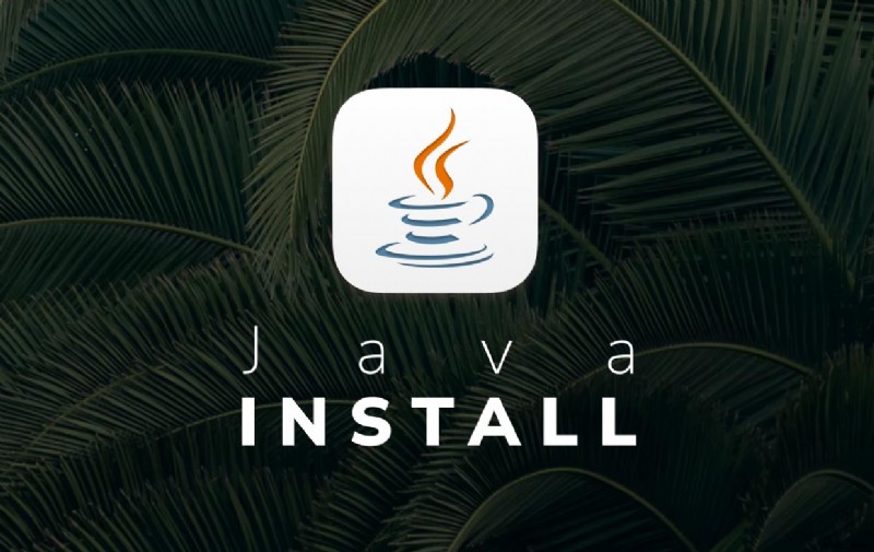 Cài Đặt Java Trên Mac: Hướng Dẫn JDK (Oracle) Và OpenJDK Qua Homebrew