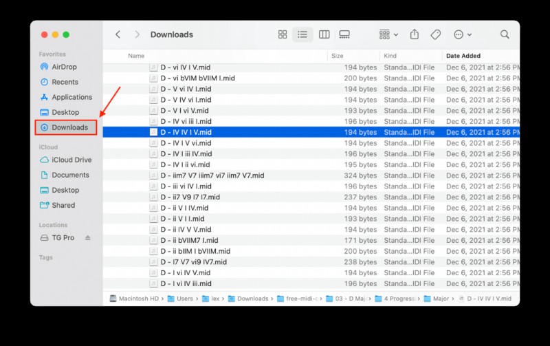 Khôi Phục Thư Mục Downloads Đã Xóa Trên Mac – Hướng Dẫn Bước Đi Bước