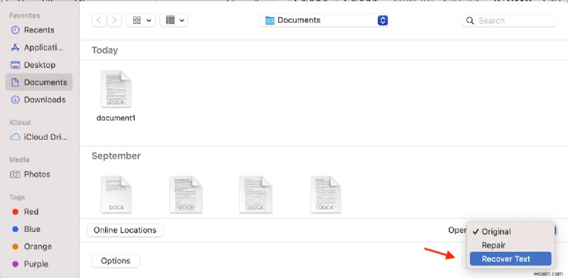 7 Phương Pháp Khôi Phục Tài Liệu Microsoft Word Bị Xóa Trên macOS