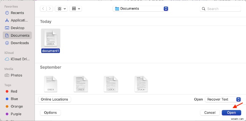 7 Phương Pháp Khôi Phục Tài Liệu Microsoft Word Bị Xóa Trên macOS