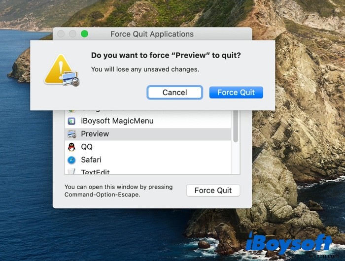 Vấn Đề Ứng Dụng Preview Trên MacBook? 8 Cách Sửa Chứng Minh Khôi Phục Xem PDF & Ảnh