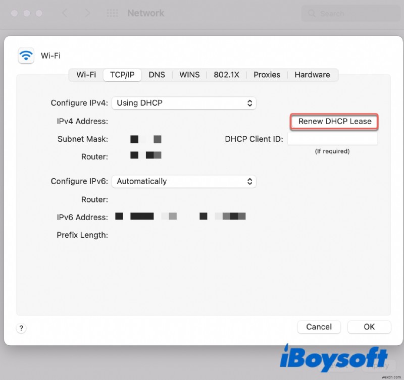 Tại Sao Mac Kết Nối WiFi Nhưng Không Có Internet: Hướng Dẫn Khắc Phục Hoàn Chỉnh