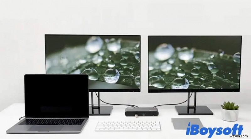 MacBook không ngủ khi đóng nắp? Cách khắc phục nhanh cho Pro & Air